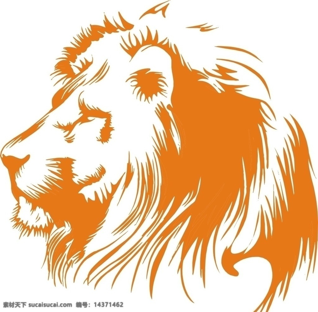 獅子 種類 (99) 사진