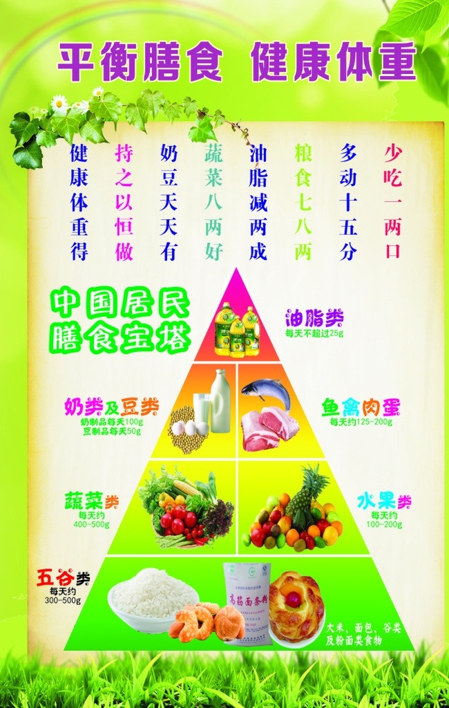 中国 居民 膳食 宝塔 营养 平衡 宣传