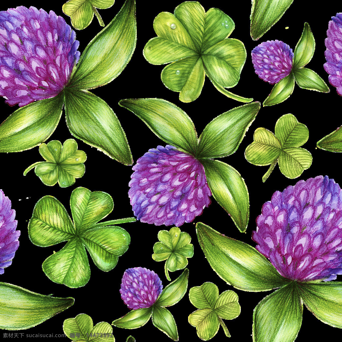 创意 逼真 花卉 背景 背景素材 花朵 绿色 铅笔画 四叶草 紫色