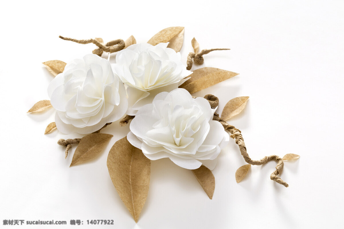情人节 情人 玫瑰 爱心 浪漫 温馨 白色 白玫瑰 摄影生活素材 生活素材 生活百科