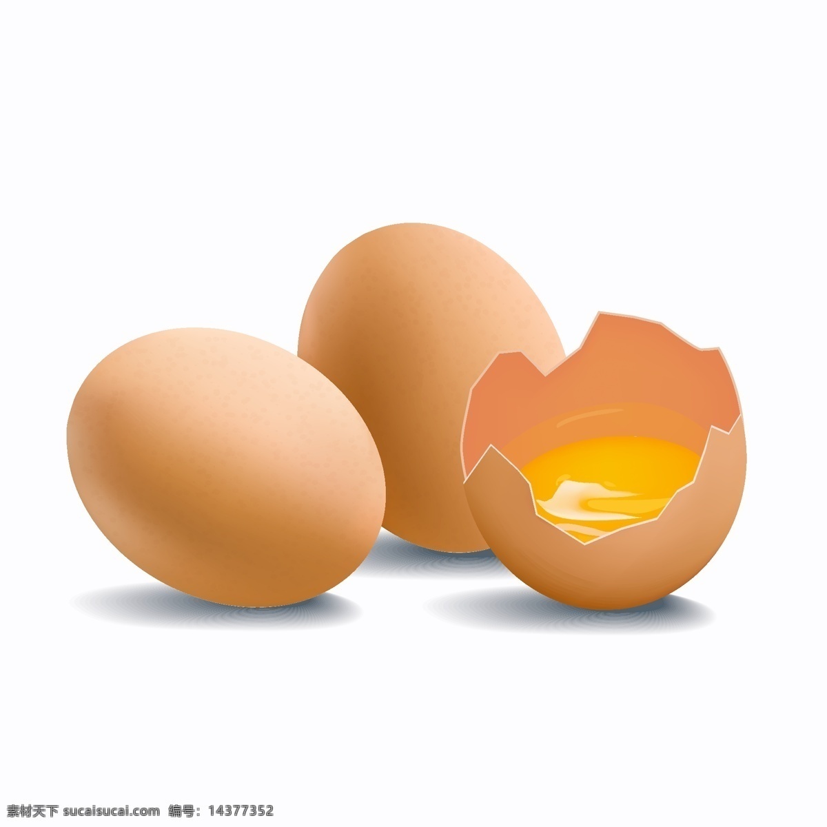 新鲜 鸡蛋 打碎 矢量 食物 蛋黄 食品 生态 土鸡蛋