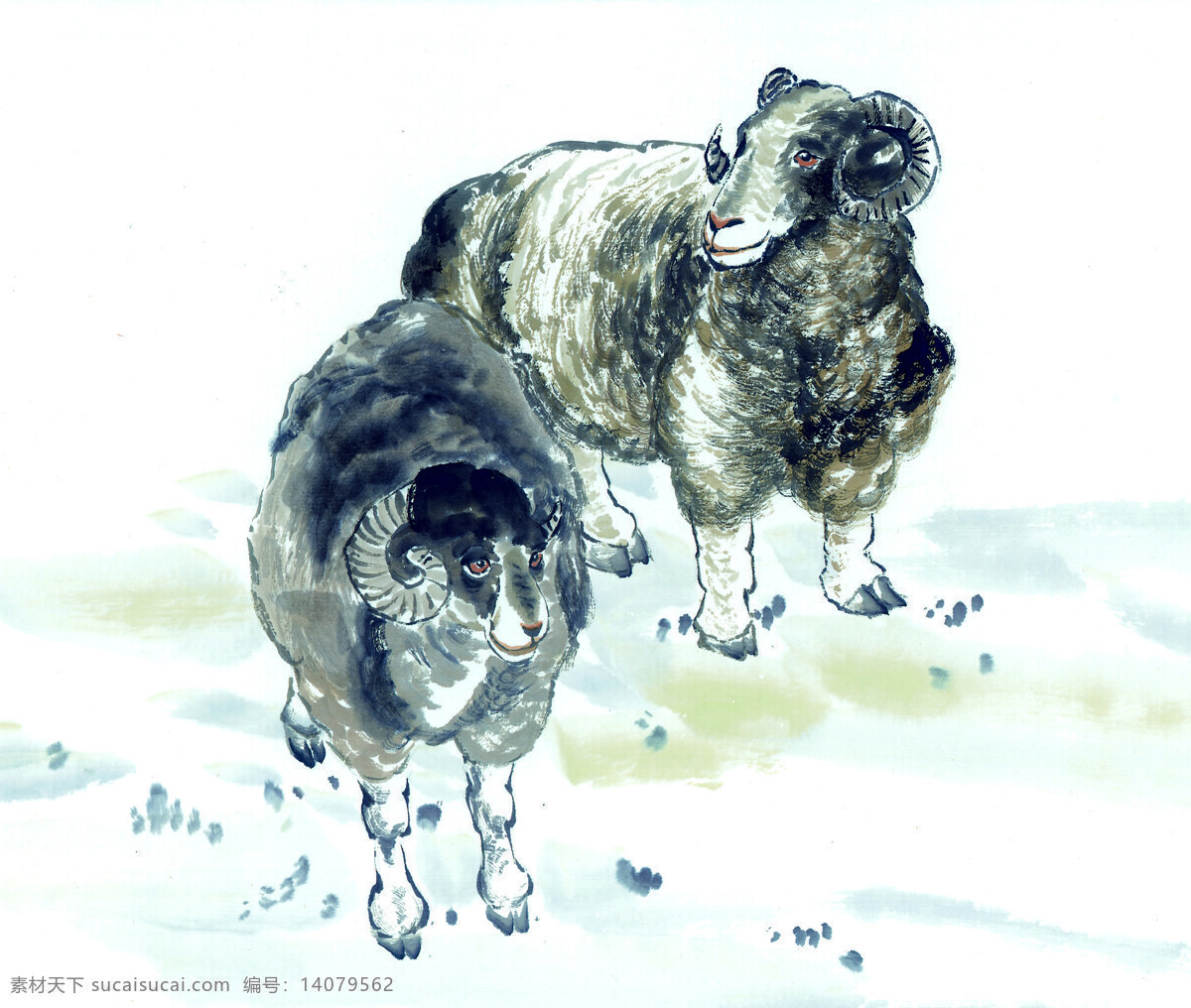 十二生肖 羊 国画 白描 生肖 动物国画 动物画 国画素材 文化艺术 绘画书法