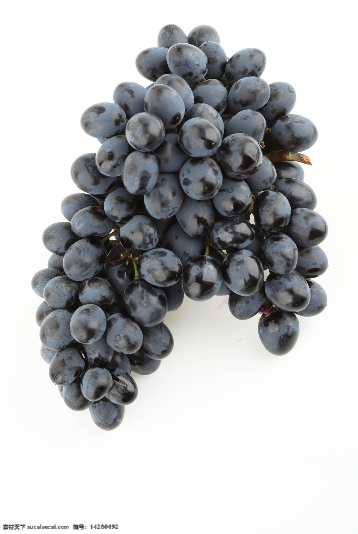 串 新鲜 葡萄 紫葡萄 成熟葡萄 果实 果子 水果 新鲜水果 水果背景 水果图片 餐饮美食