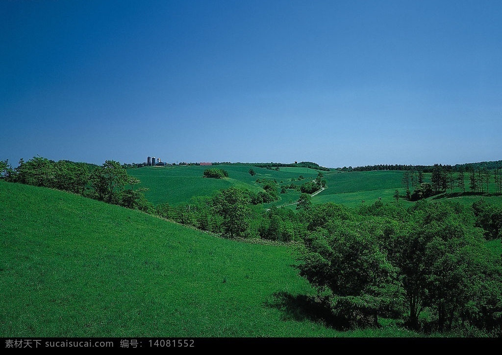 自然风光 自然风景 自然风光图片 自然景观 中国自然风景 白云 蓝天 绿色 草地 小树 绿树 树木 大片的草地 绿洲 摄影图库