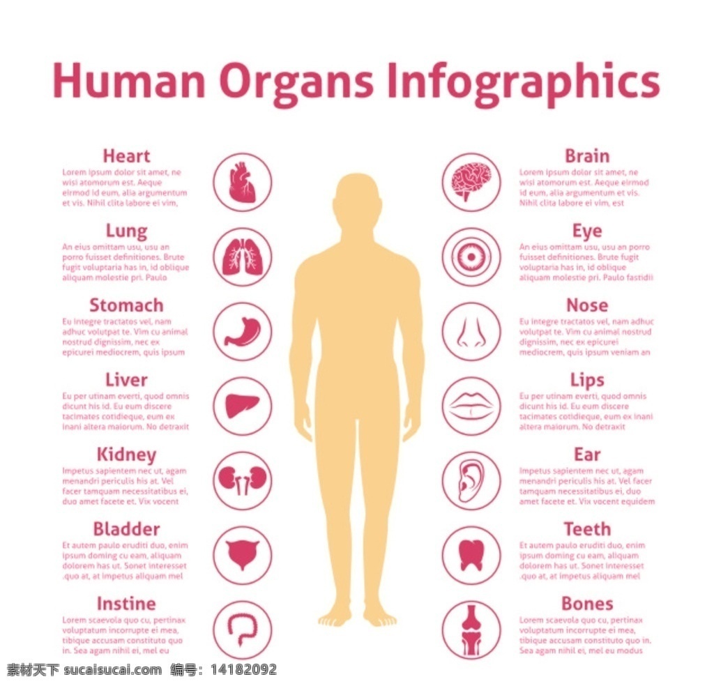 人体 器官 图标 注释 人体器官图 粉色图标 圆形图标 医疗图标 人体器官 医疗 按钮图标 标志图 信息化