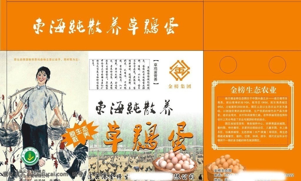 散养草鸡蛋 绿壳鸡蛋 鸡蛋 鸭蛋 鹅蛋 土鸡蛋 农家鸡蛋 散养 美味 食品 包装箱 包装盒 礼品盒 包装设计
