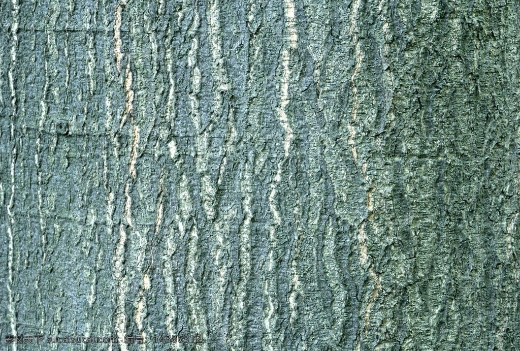 树皮纹理 树皮 纹理 树干 纹路 材质 贴图