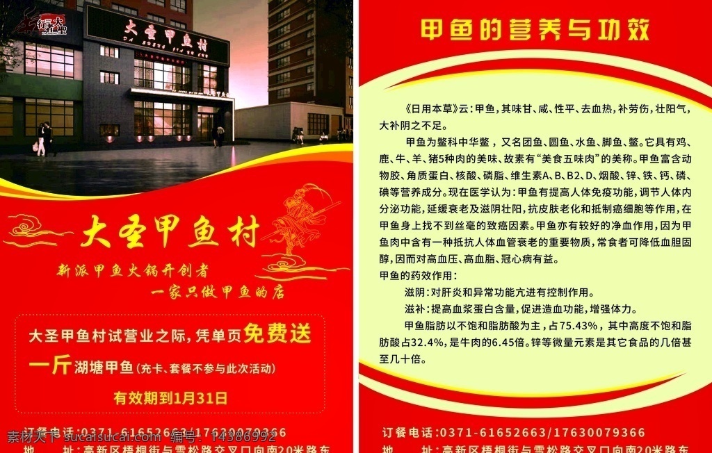单页 甲鱼 大圣 营养 价值