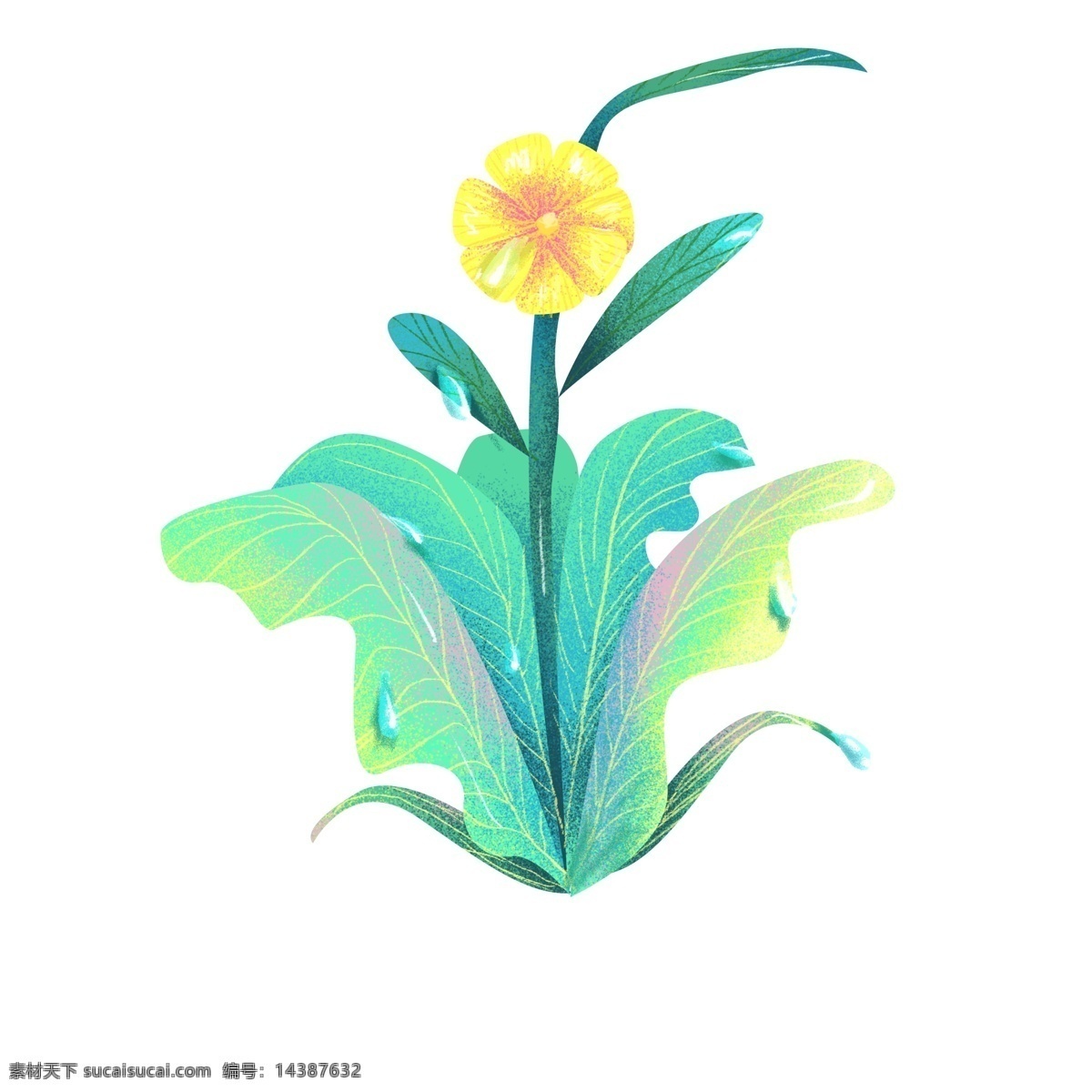 春季 花草 植物 小 清新 小清新 扁平风 插画 通用 手绘 装饰 边框 卡通 免抠 透明底 无背景 原创 平面设计 彩色