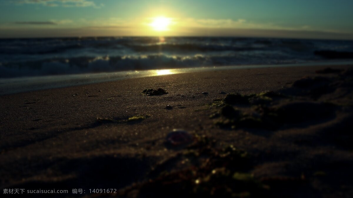 沙滩 日出 自然 太阳 海边 海滩