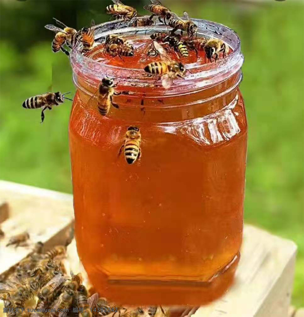 蜂蜜图片 蜂蜜 纯正蜂蜜 蜜蜂 采蜜 优质蜂蜜 餐饮美食