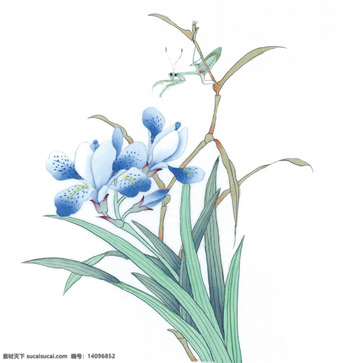 花鸟国画 国画 工笔 工笔花鸟 绘画 国画素材 文化艺术 绘画书法
