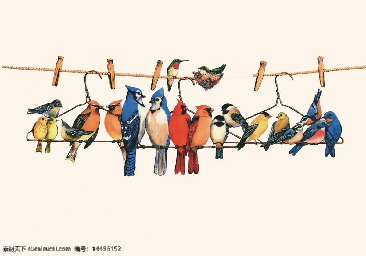高清工笔鸟 高清 工笔画 鸟 国画鸟 传统工笔 传统的 文化艺术 绘画书法
