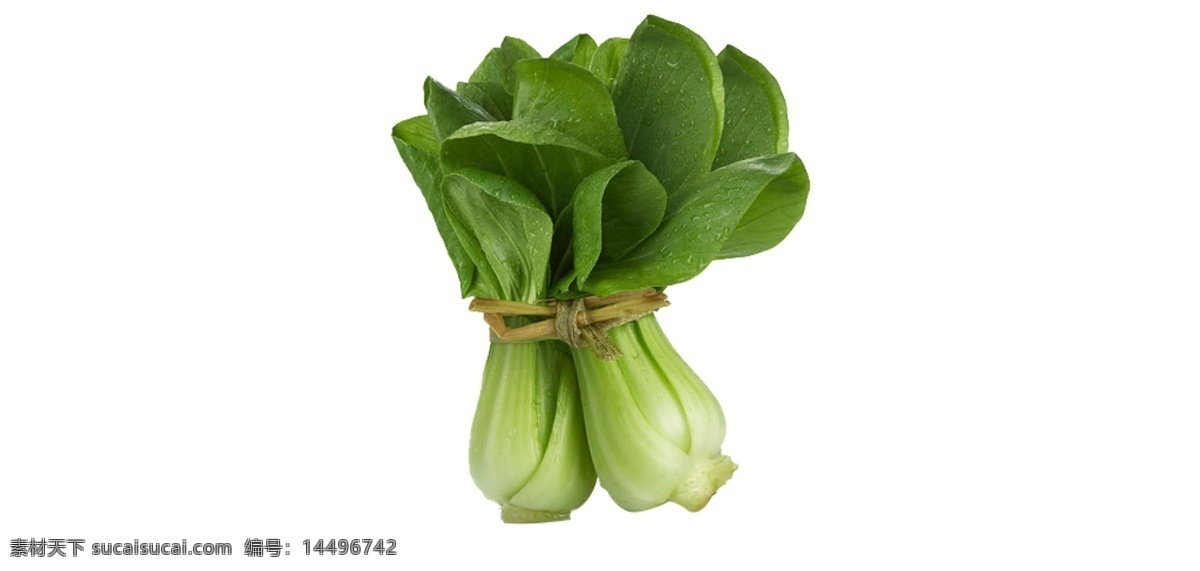 蔬菜水果 叶子 植被 绿色 免 抠 上海青 蔬菜 小白菜 植物